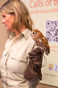 2017 Refuge Expo on Capitol Hill