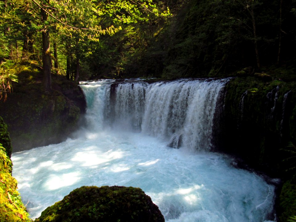 Spirit Falls Trail on Little White Salmon River in WA