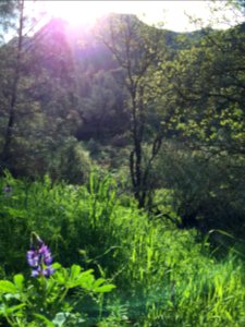 Berryessa Snow Mountain National Monument Dedication Celebration