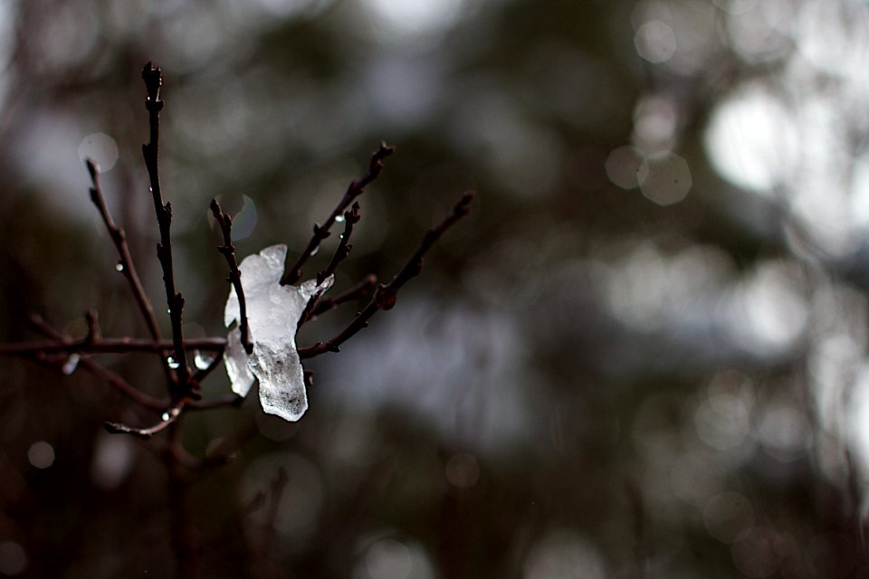 Ice Crystal