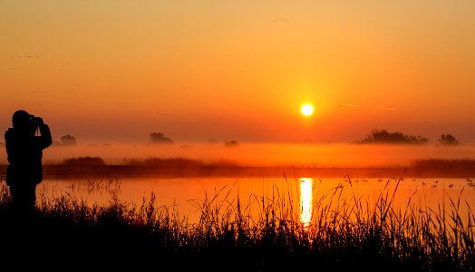 Cosumnes River Preserve