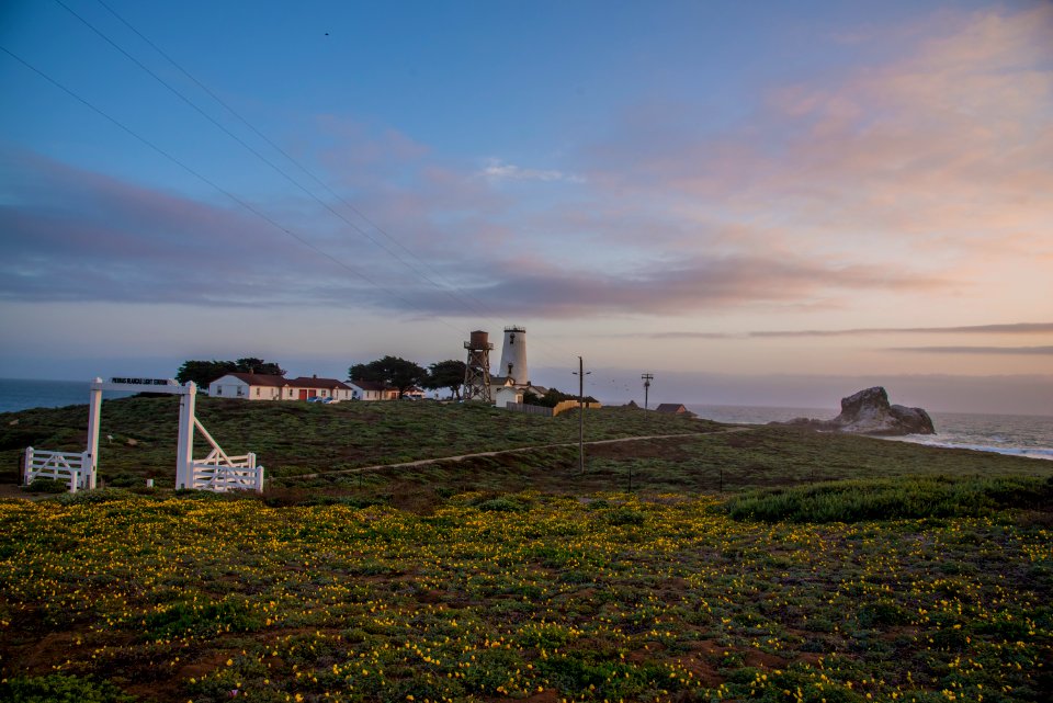 Piedras Blancas Outstanding Natural Area, part of the California Coastal National Monument