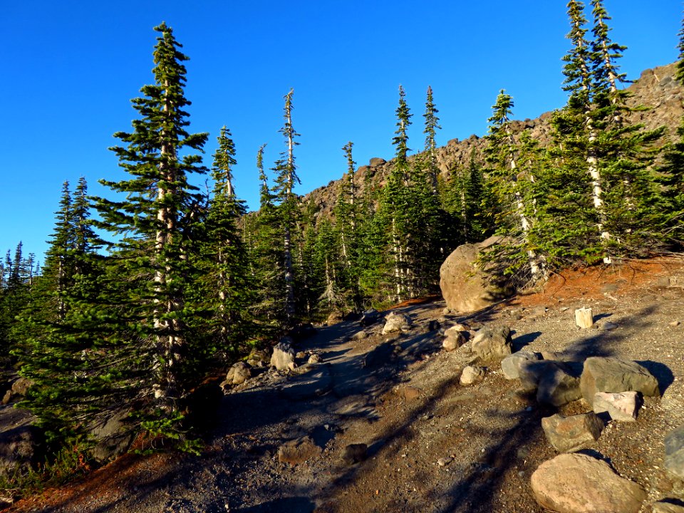 Mt. St. Helens Summit Trail in WA