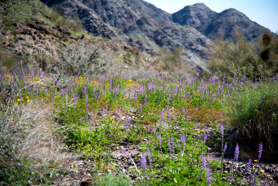 Bradshaw Trail National Back Country Byway