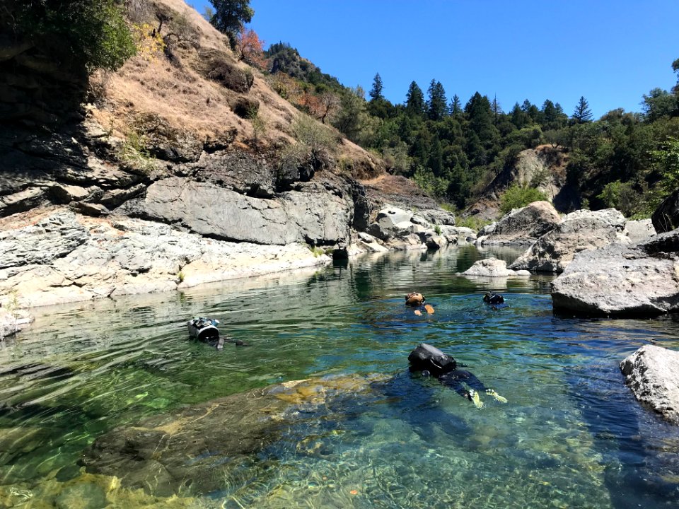 WINNER: North Fork Eel Fish Survey, Arcata Field Office