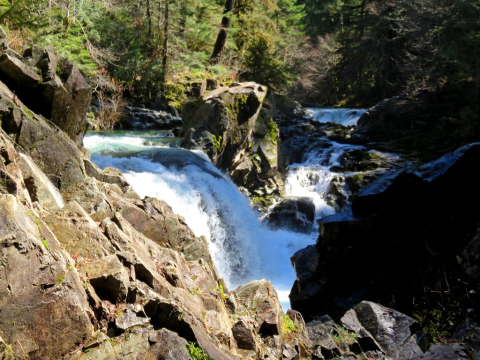 Sawmill Falls at Opal Creek Wilderness in Oregon