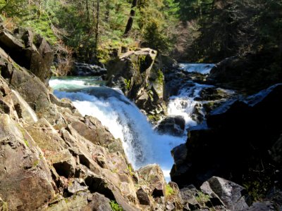 Sawmill Falls at Opal Creek Wilderness in Oregon