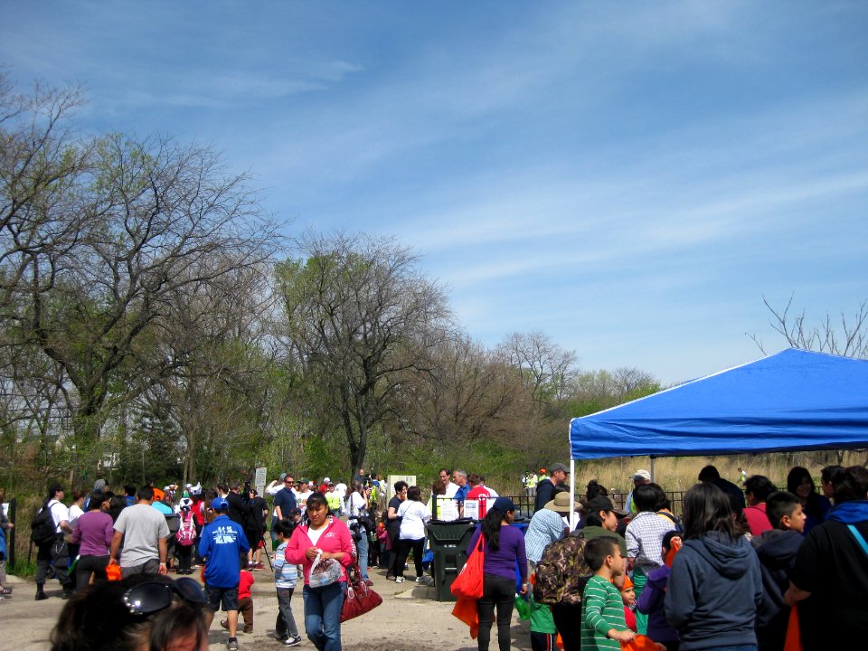 Community tree planting day Chicago May 10 2014