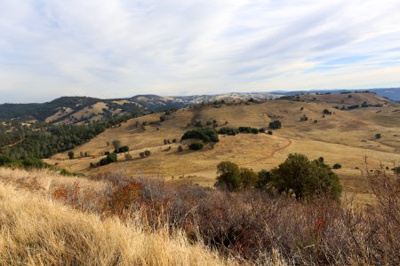 Cronan Ranch