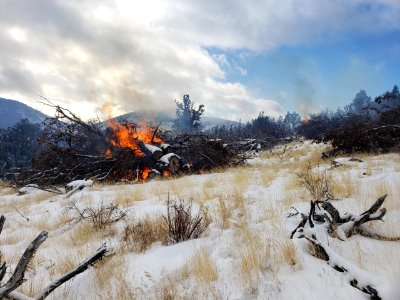 Pile burns on the Modoc Gulch fire project