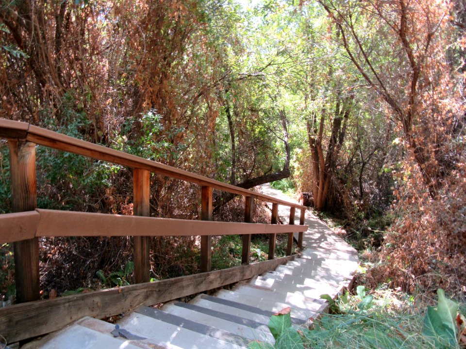 #NPLD 2017: Caring for Big Morongo Canyon Preserve