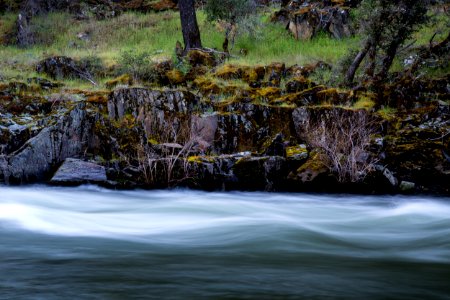 Merced Wild and Scenic River