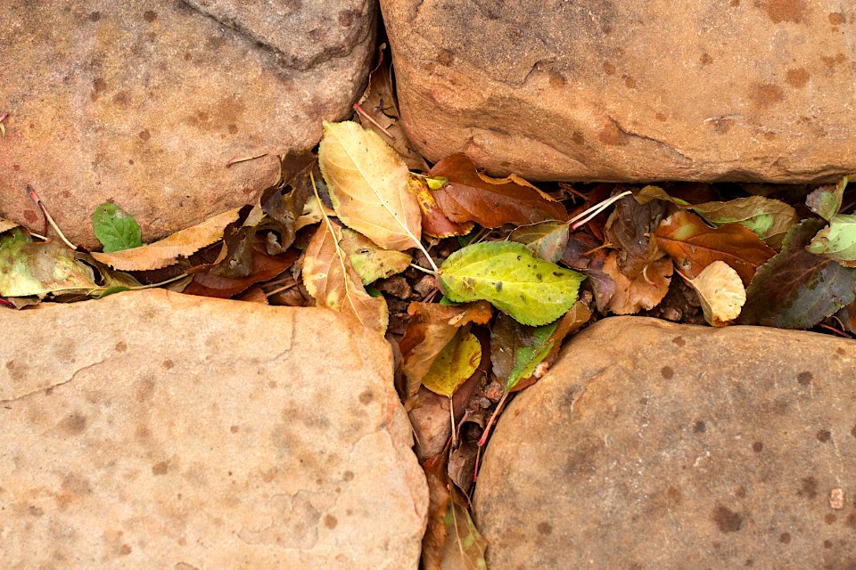 Autumn in the Gaps