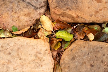 Autumn in the Gaps