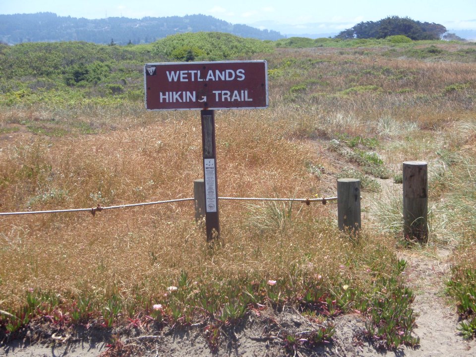 Signs in Samoa Dunes Recreation Area