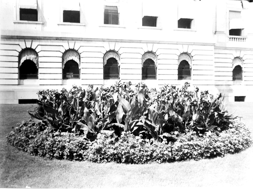 1928 (pre) Bureau of Plant Industry Scrapbook Files USDA Research NAL 11.4 (136)