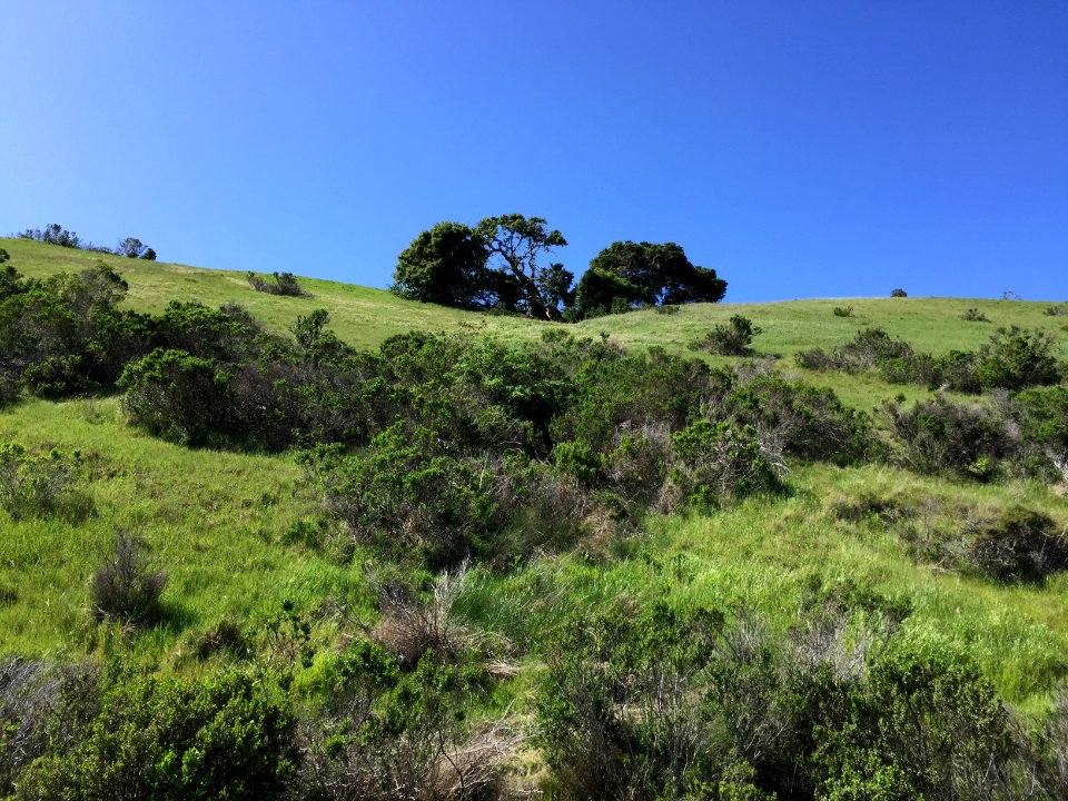 Fort Ord National Monument