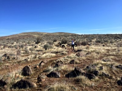 Bald Mountain