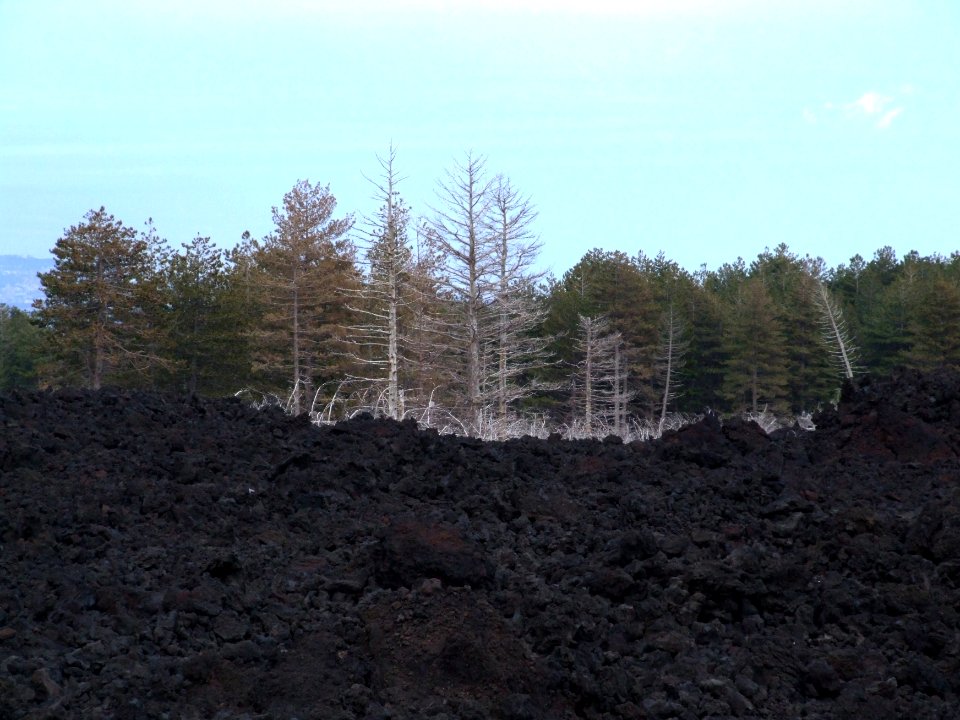Etna-Volcano-Sicily - Creative Commons by gnuckx