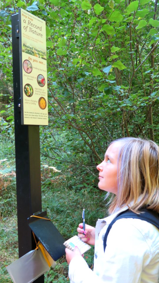 Exploring Wailaki Campground