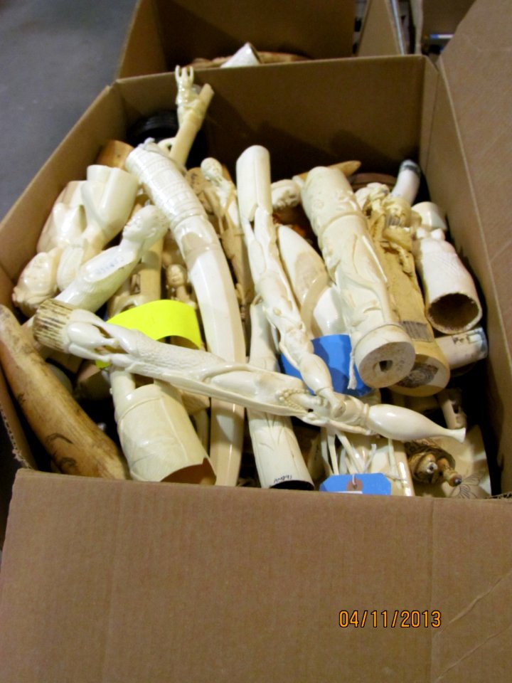 Box of small ivory pieces and tusks