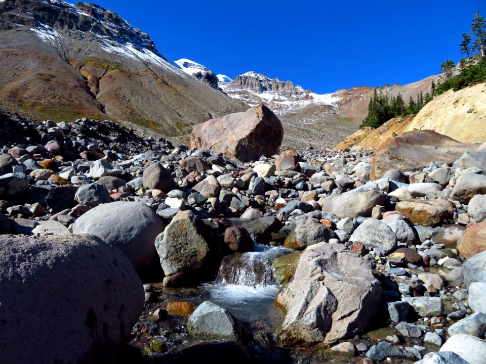 Glacier Basin Trail at Mt. Rainier NP in WA