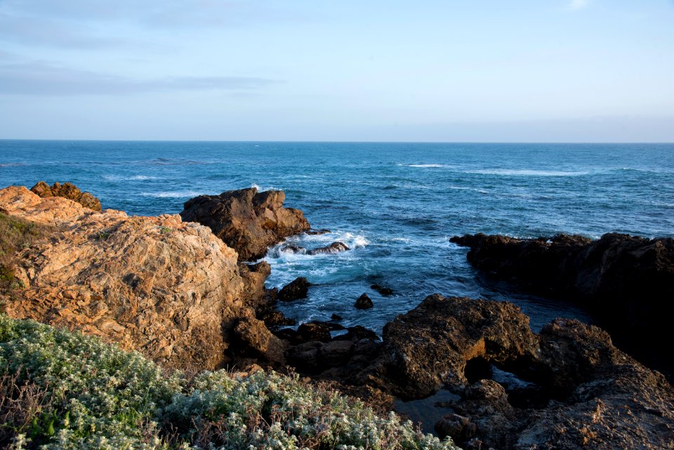 Piedras Blancas Outstanding Natural Area, part of the California Coastal National Monument