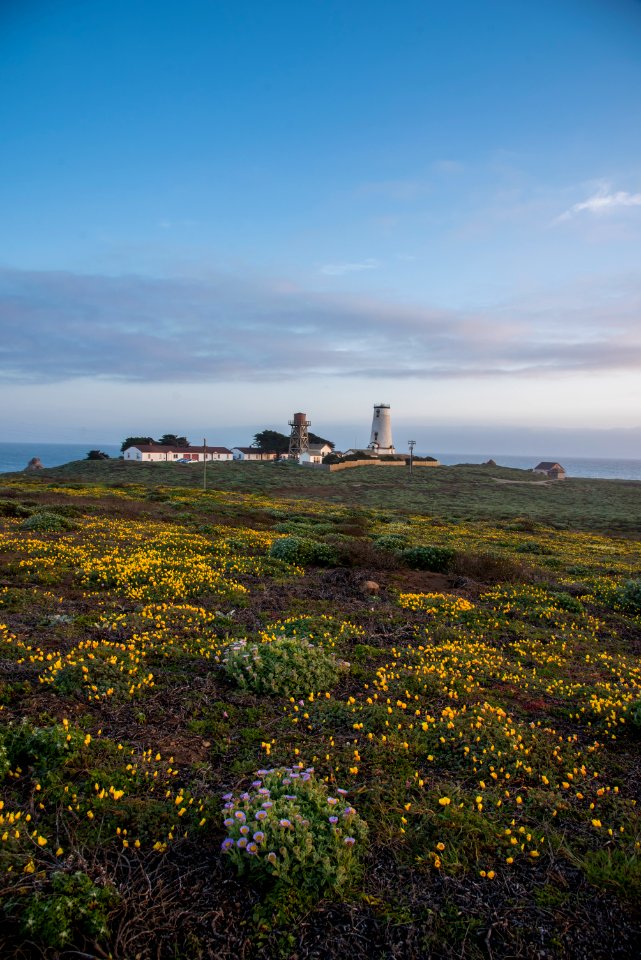 Piedras Blancas Outstanding Natural Area, part of the California Coastal National Monument
