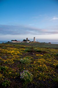 Piedras Blancas Outstanding Natural Area, part of the California Coastal National Monument