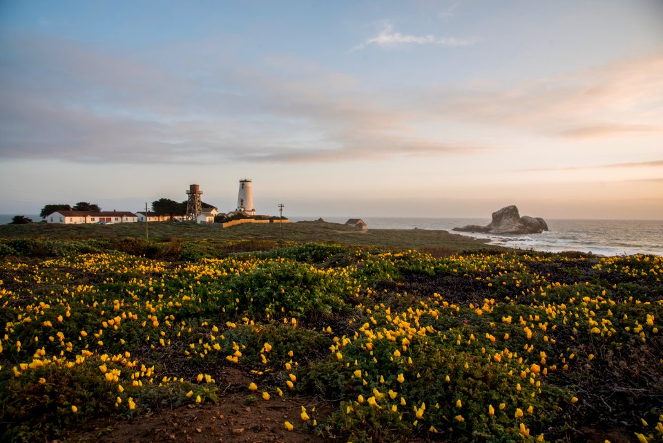 Piedras Blancas Outstanding Natural Area, part of the California Coastal National Monument