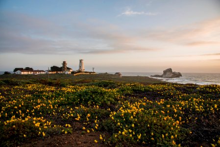 Piedras Blancas Outstanding Natural Area, part of the California Coastal National Monument