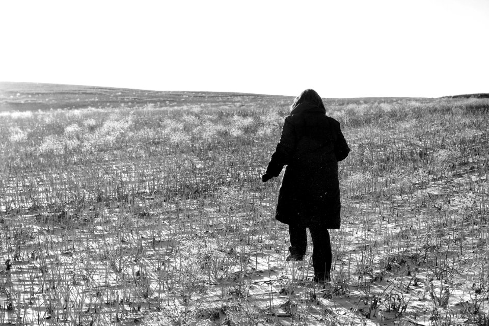 Stepping Into the Fields