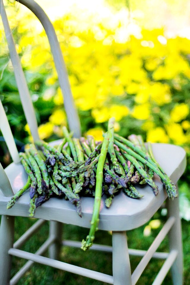 Vegetables green organic