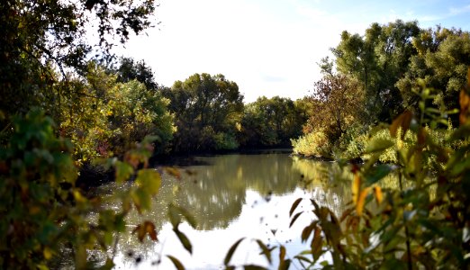 Cosumnes River Preserve