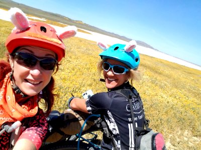 Bunny Bikers by Angie Baker