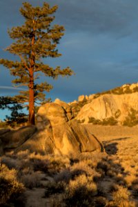 Granite Mountain Wilderness photo