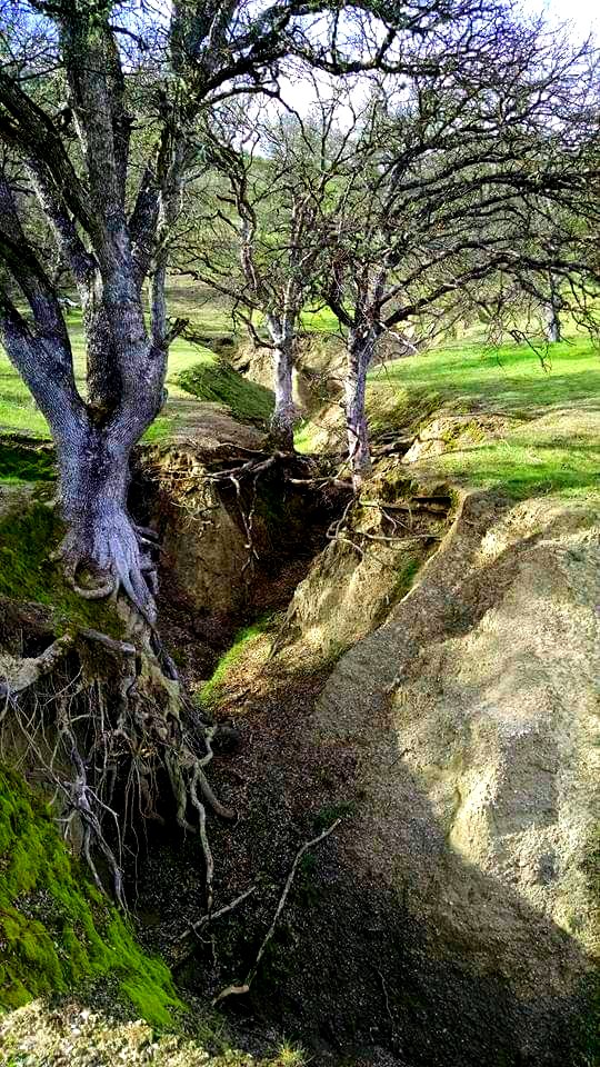 Cache Creek in the Ukiah Field Office