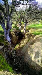 Cache Creek in the Ukiah Field Office