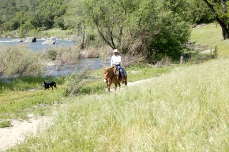 Cronan Ranch