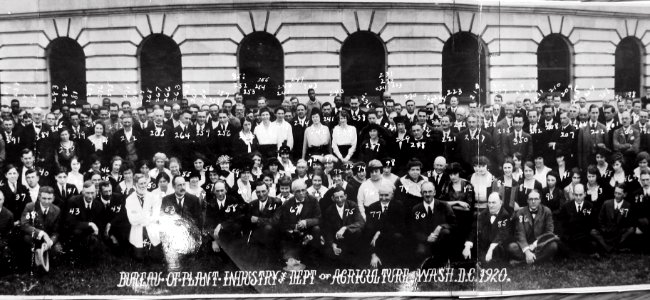 1920 Bureau of Plant Industry Scrapbook Files USDA Research NAL 11.4 (121)