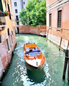 License Free Photo - Creative Commons by gnuckx