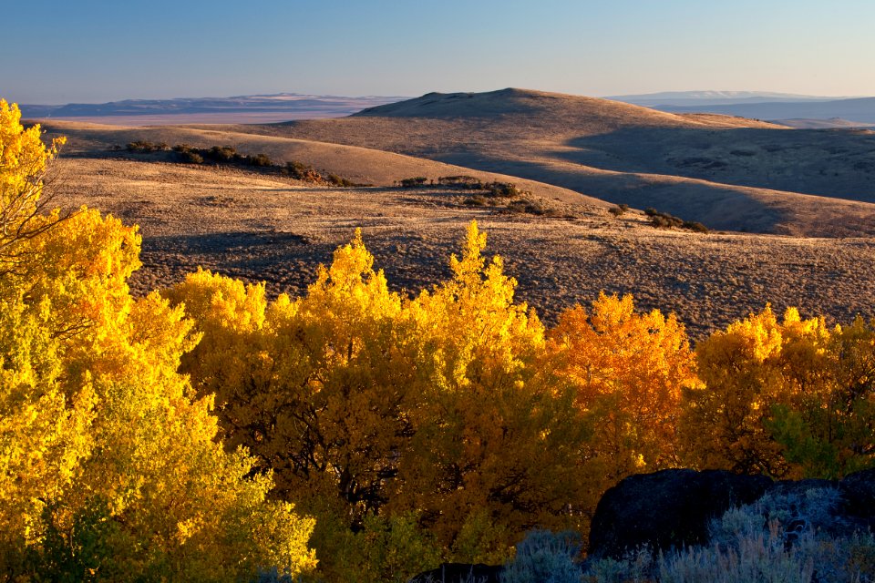 Wall Canyon Wilderness Study Area