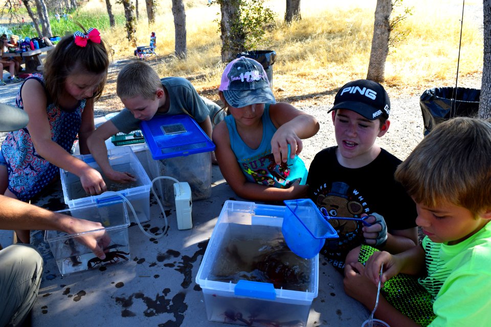 Kids Fishing Day 2016