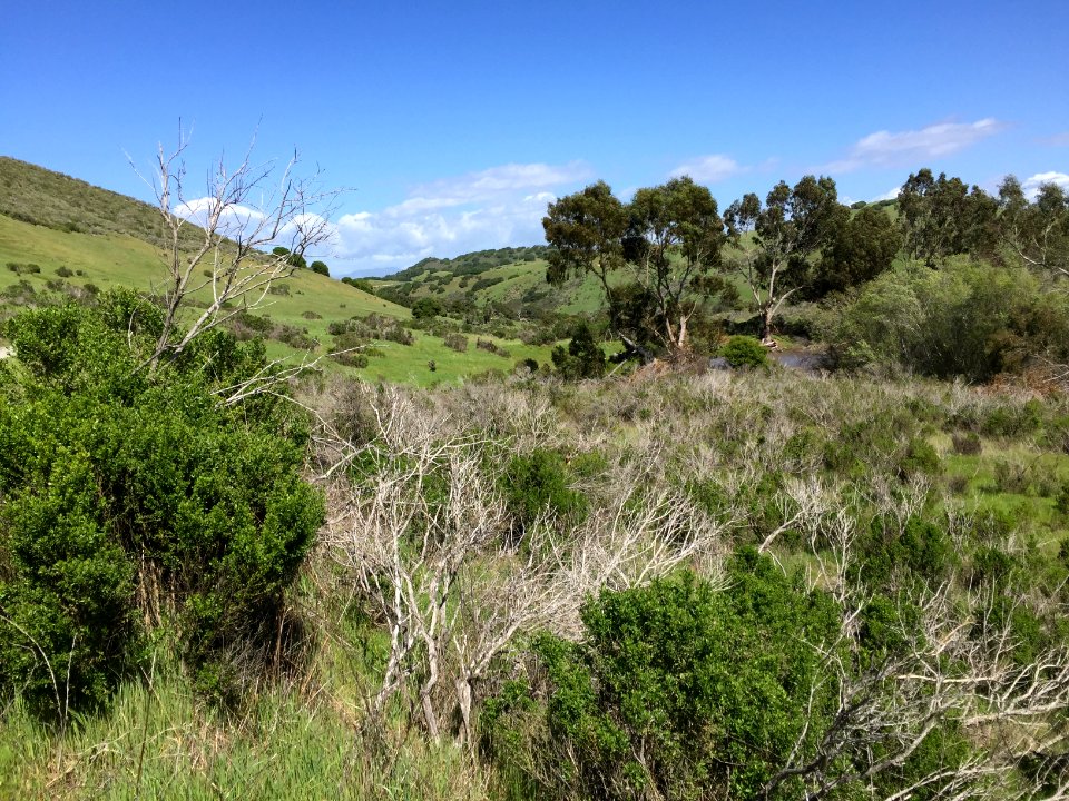Fort Ord National Monument