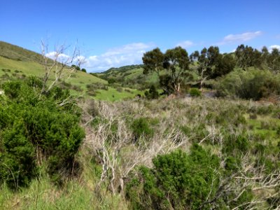 Fort Ord National Monument