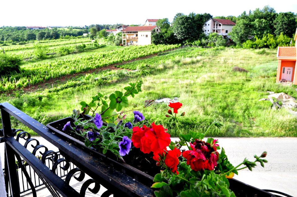 Medjugorje - Hotel Pansion Porta - Bosnia Herzegovina - Creative Commons by gnuckx