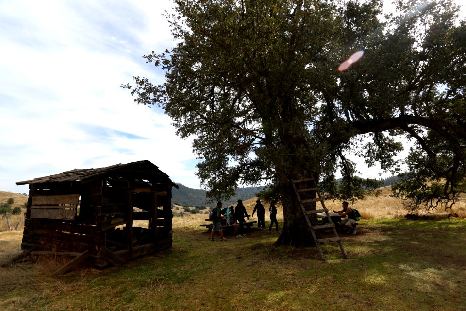 Cronan Ranch