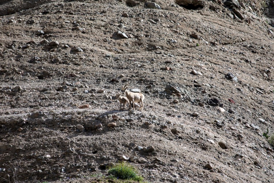 Pacific Crest Trail