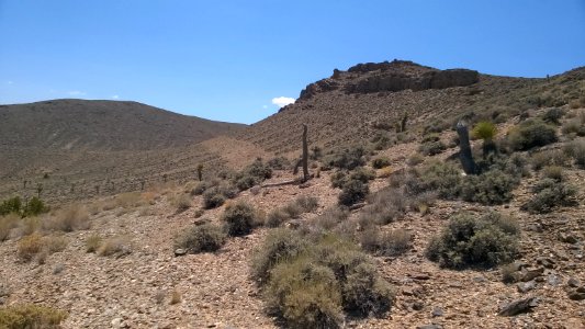 Ridgecrest Public Lands