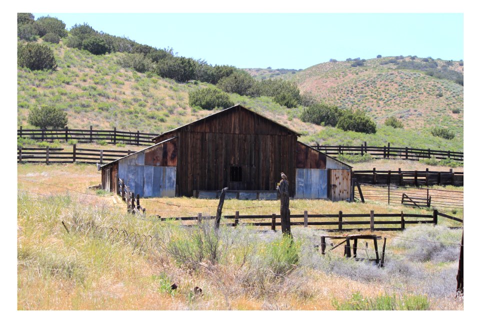 3 Barns near Selby Campground by Ester Livingston